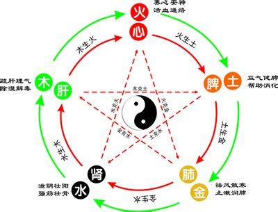 木生什么|深度解析五行生克的关系